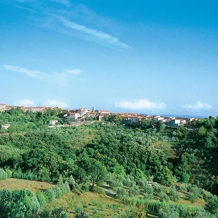Il Felciaione-11 By Interhome Appartement *